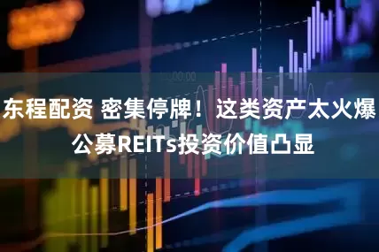 东程配资 密集停牌！这类资产太火爆 公募REITs投资价值凸显