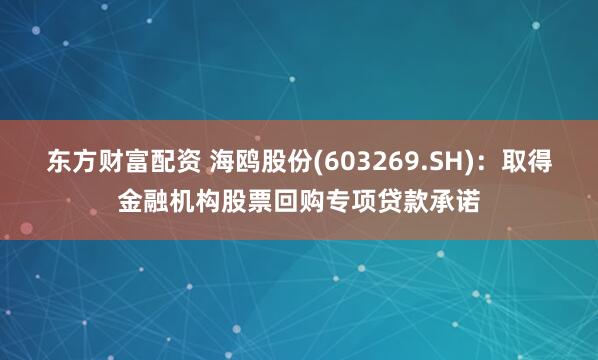 东方财富配资 海鸥股份(603269.SH)：取得金融机构股票回购专项贷款承诺
